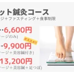 ダイエット鍼灸