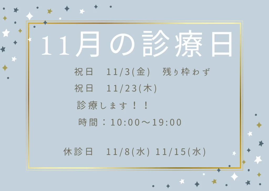 11月の診療日