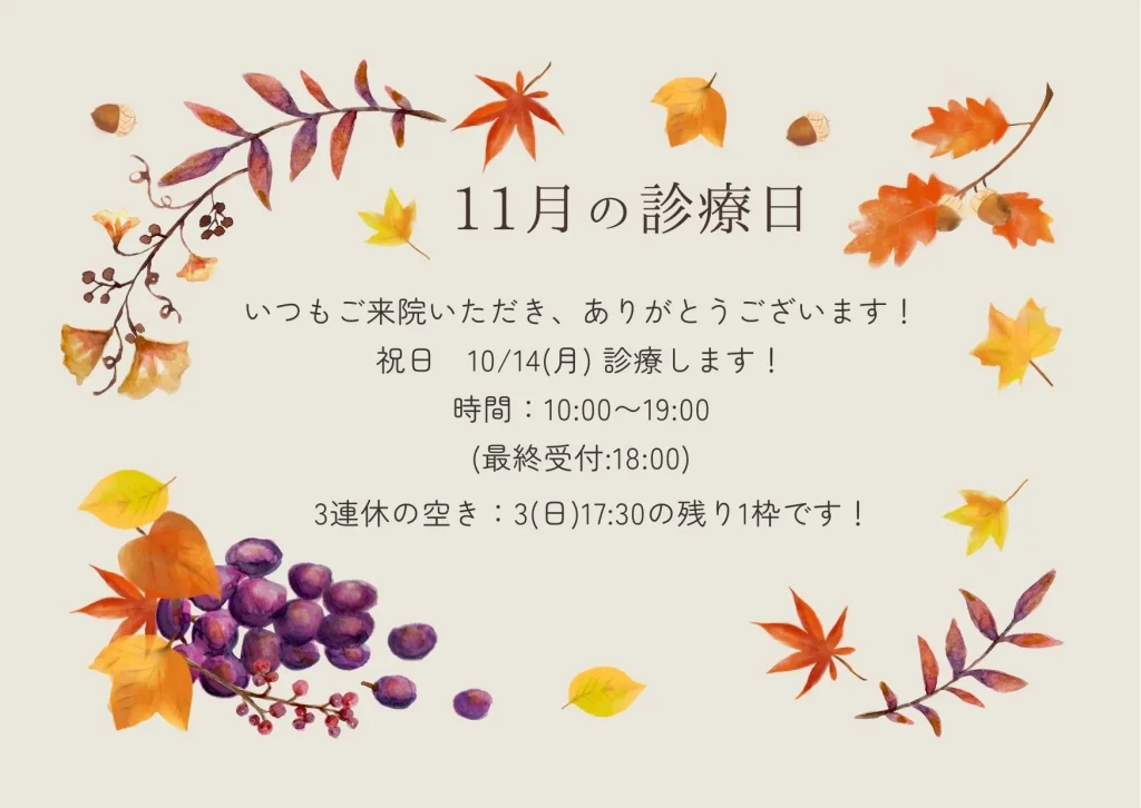 11月の診療日