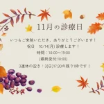 11月の診療日