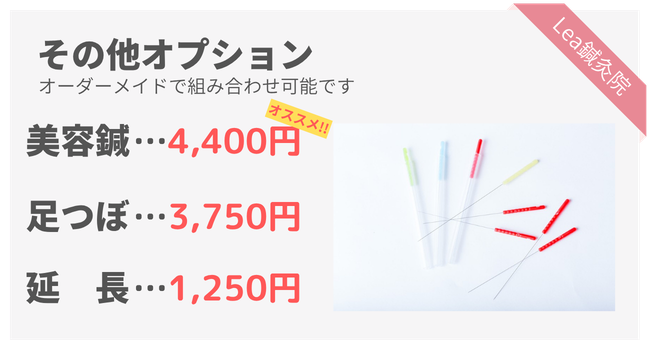 オプションメニューの詳細と料金